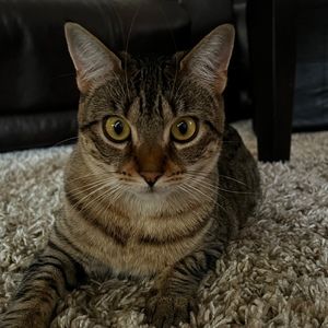 Meet your Posher, Trevor